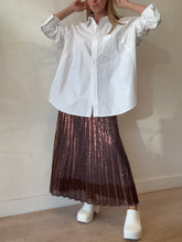 Load image into Gallery viewer, Flannel - Sequin Pleated Maxi Skirt - Brown squins - 1
