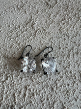 Load image into Gallery viewer, Bottega Veneta  - Earrings  - Diamonte  - S
